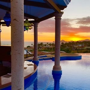 Meet your Posher, Lyn